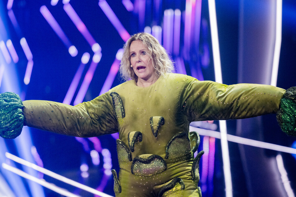 Die 57-jährige RTL-Moderatorin betrat in einem riesigen Brokkoli-Kostüm die Bühne und sang "Rockstar" von US-Superstar Pink (43).