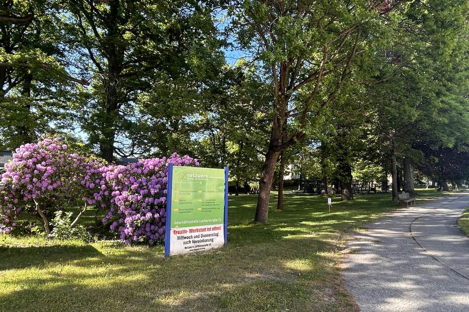 Der Lutherpark in Bischofswerda bleibt vorerst gesperrt.