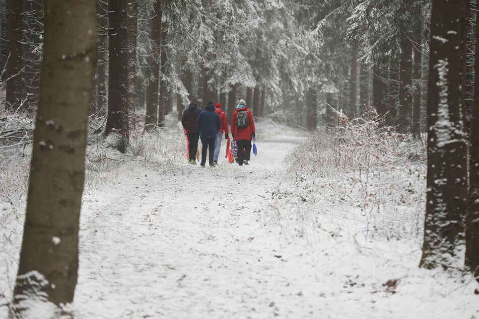 Wanderer laufen entlang des Rennsteiges durch den schneebedeckten Thüringer Wald.