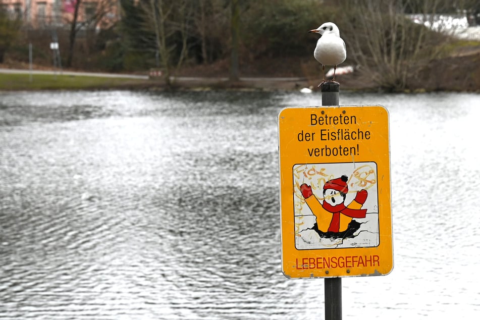 Vielerorts warnen Schilder davor, die Eisflächen nicht zu betreten. (Symbolbild)