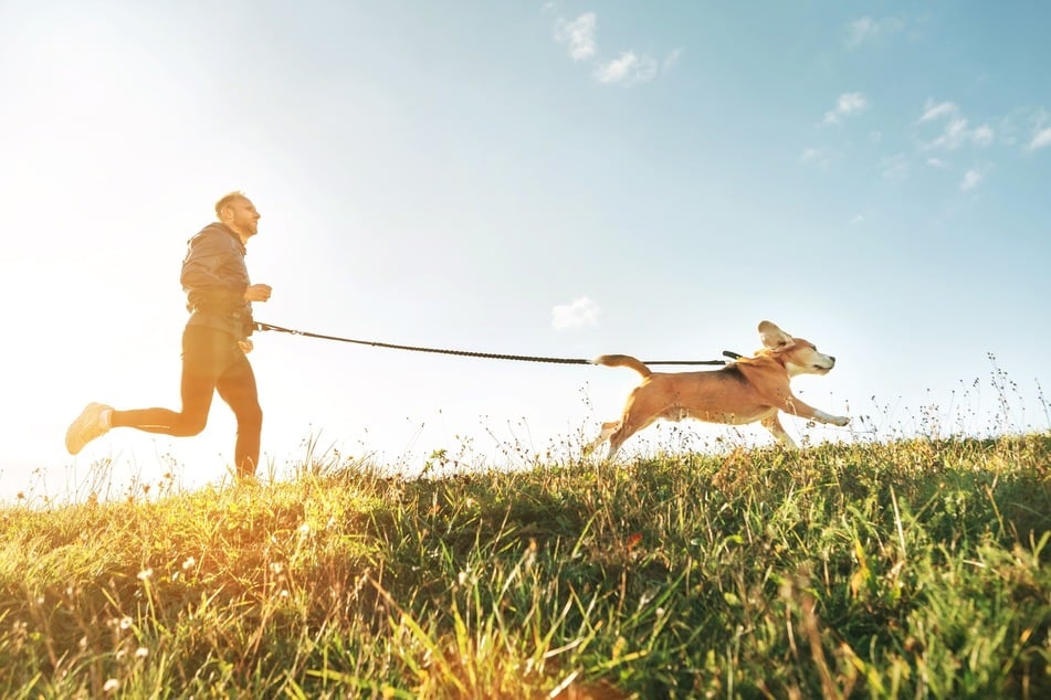 Gemeinsame Erlebnisse stärken die Bindung zwischen Hund und Mensch.