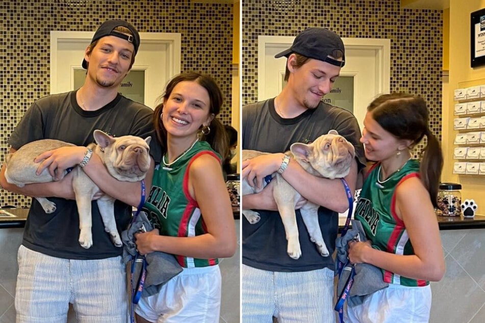 Millie Bobby Brown and Jake Bongiovi have taken in a foster dog in a need of a forever home.