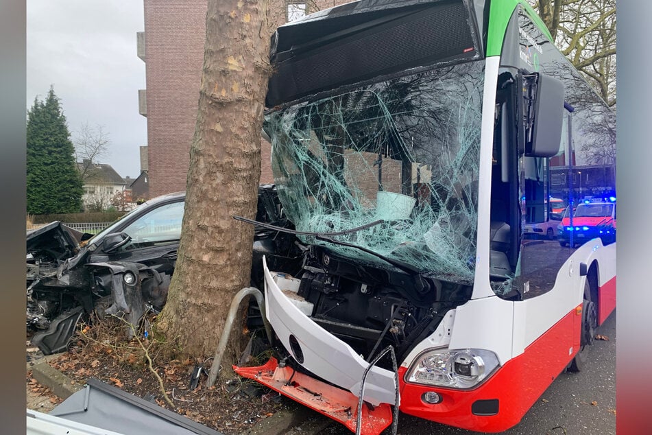 Der Bus kollidierte erst mit zwei Autos und dann mit einem Baumstamm.