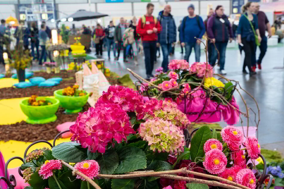 Neu in diesem Jahr ist das "Forum Garten", wo Experten täglich Tipps zu verschiedenen Themen teilen und beispielsweise den richtigen Rosenschnitt erklären oder neue Pflanzentrends vorstellen.