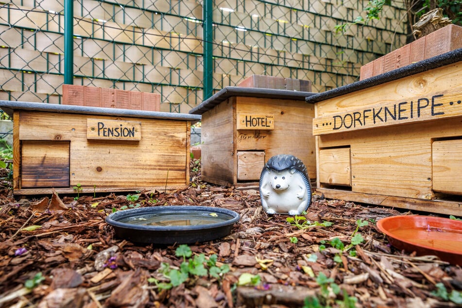 Alles an einem Platz und im Igel-Format: Pension, Hotel und Dorfkneipe.