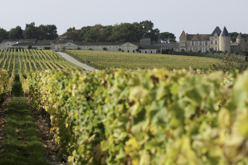 Eine der gestohlenen Flaschen stammt vom berühmten Weingut "Chateau d'Yquem" und ist mehr als 200 Jahre alt.