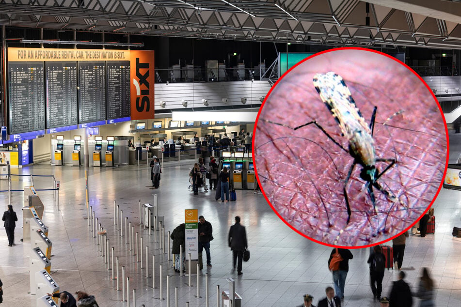 Frankfurt: Nach Tod von Malaria-Patient in Frankfurt: Zweiter Todesfall bekannt geworden