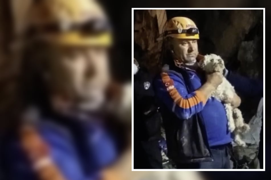 Diese Szene rührt zu Tränen! Helfer befreit Hund nach mehr als drei Wochen unter Trümmern
