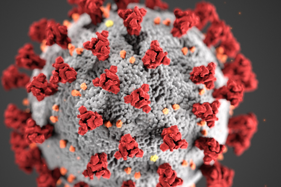 Diese Illustration, die in den Centers for Disease Control and Prevention (CDC) erstellt wurde, zeigt die ultrastrukturelle Morphologie, die Coronaviren aufweisen.