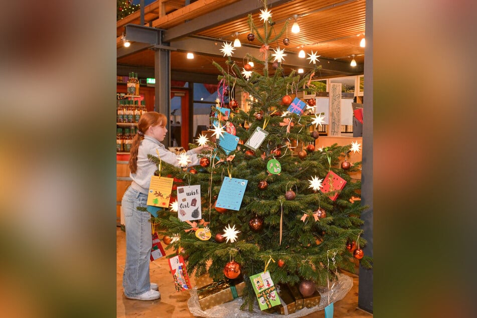 Angelien (10) aus der Kinderarche-Wohngruppe hängt auf Schloss Wackerbarth die Wünsche an den Baum.