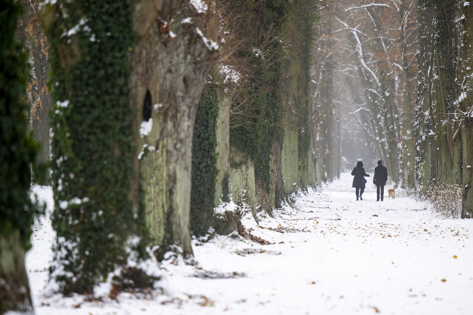 Ein romantischer Winterspaziergang im Park ist auch eine Möglichkeit an diesem Kältesonntag.
