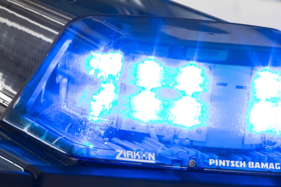 Die Hundehalterin und ihr Begleiter werden gesucht.