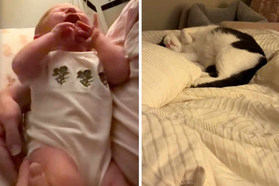 Cat has sweetest reaction to baby crying: "Kitty understood the assignment"