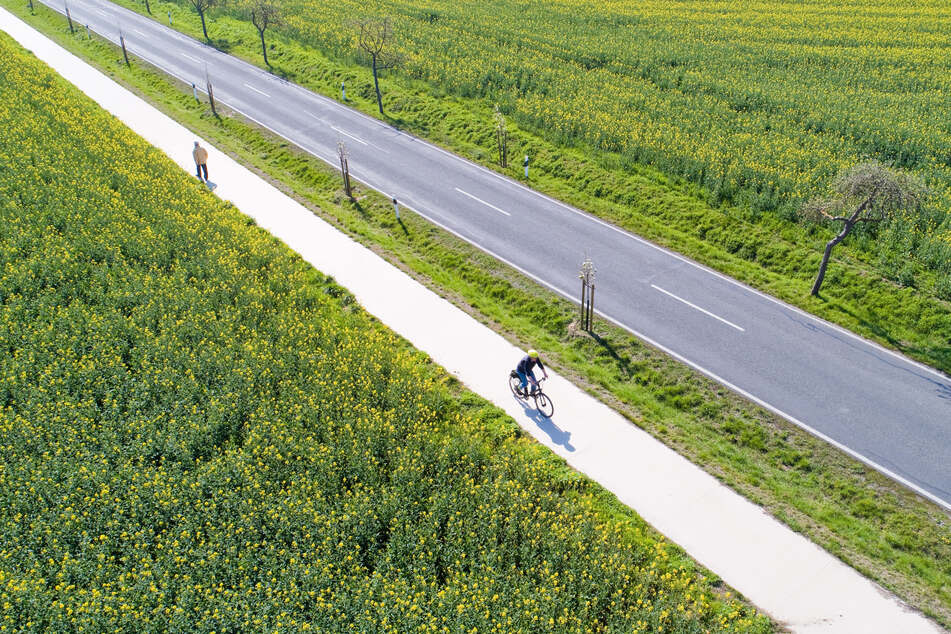 Ein Fahrradfahrer radelt über einen Radweg an einer Landstraße entlang (Archivbild).