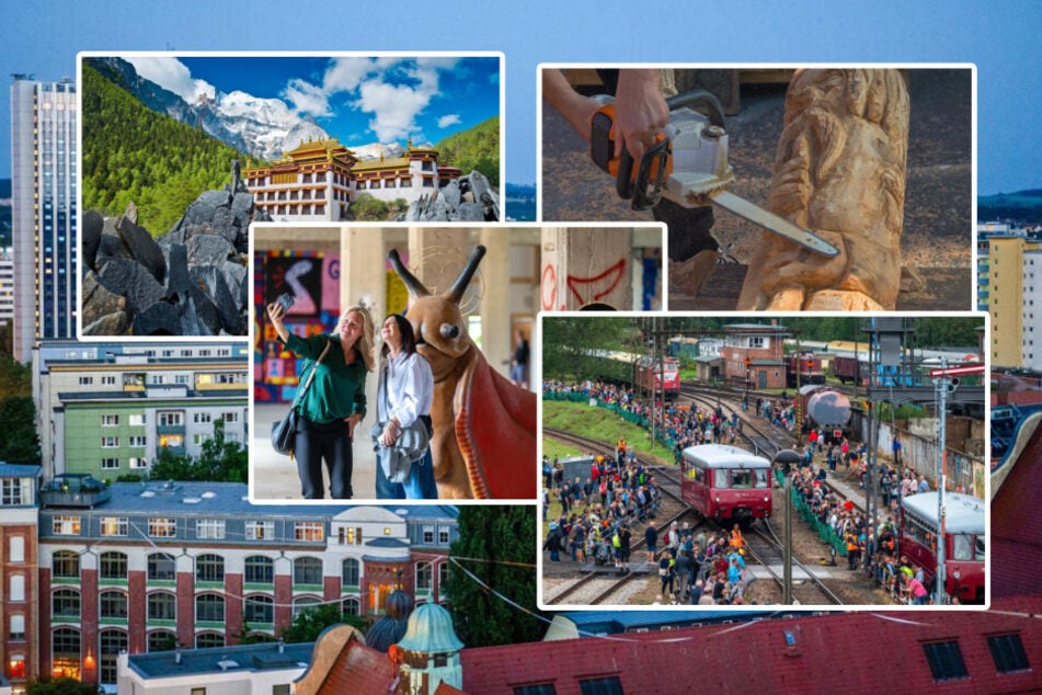 Bunte Dächer, Handwerker und vieles mehr: Das gibt es heute alles zu erleben