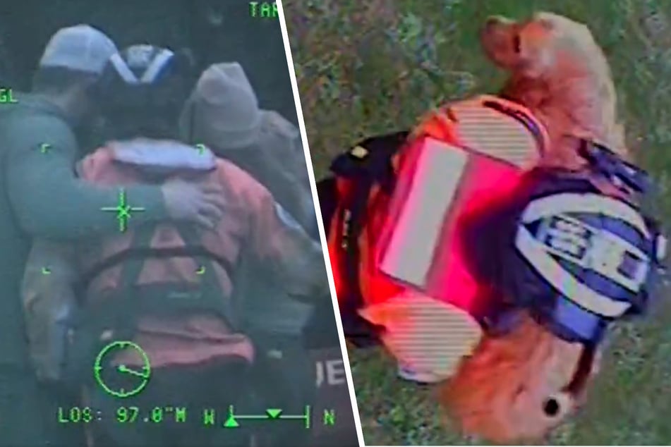 Golden retriever saved in dramatic rescue after cliff fall!