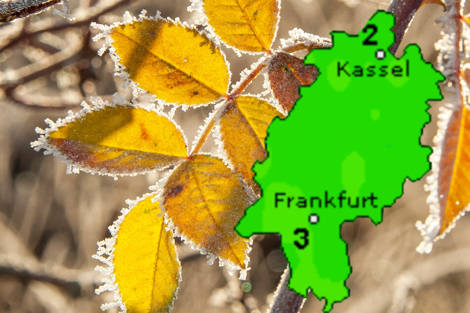 Der Dienst Wetteronline.de (Grafik) sagt für die Nacht zu Donnerstag 2 bis 3 Grad in Hessen voraus – auch bei diesen Werten könnte es in Bodennähe zu Frost kommen.