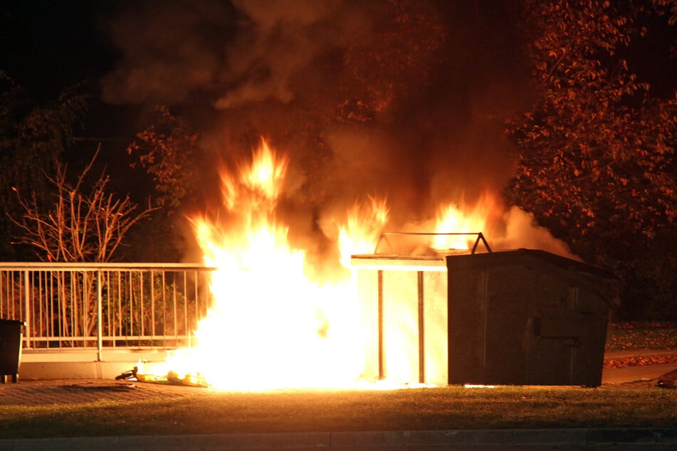 Mülltonnen, Container, Gegenstände in Kellern: Immer wieder zündelte die Kassiererin und schob die Schuld auf andere. (Symbolfoto)