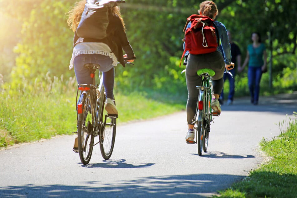 Radeln fürs Klima: Pro 1.500 gefahrene Kilometer wird jedes Jahr ein Baum gepflanzt.