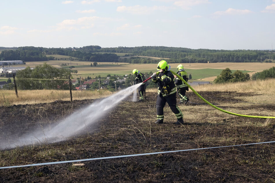 Chemnitz: Chemnitz: Feldbrand in Euba