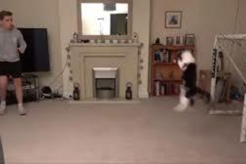 Kater Meownuel Neuer hält jeden Ball, den Herrchen Chris Dixon ihm entgegen schießt.