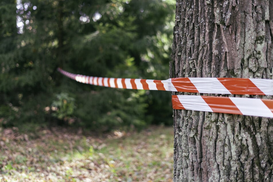 Schauriger Fund bei Büdingen: Frauenleiche in Waldstück entdeckt