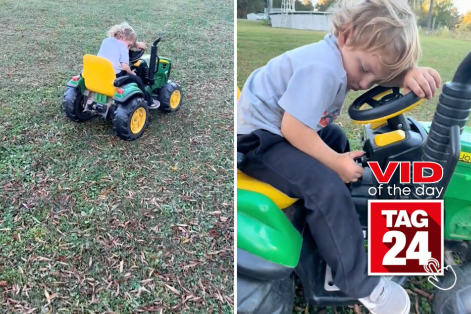 viral videos: Viral Video of the Day for October 30, 2023: Farmer-in-training hilariously proves the hustle doesn't stop!
