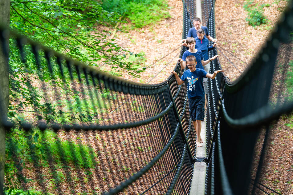 Touristen gehen im Barfußpark in der Lüneburger Heide über eine Hängebrücke.