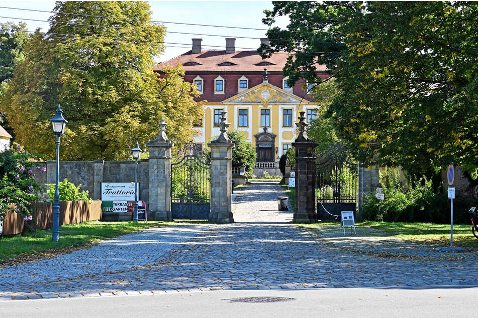 Hier, am ältesten Terrassenweinberg Sachsens, dem Seußlitzer Closterberg, wurden die Auslesetrauben gelesen.