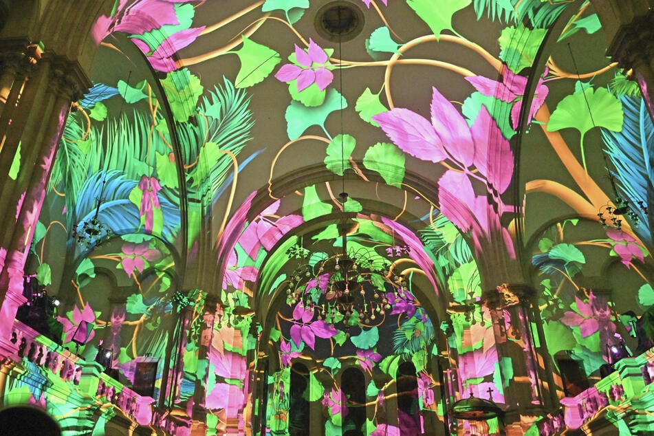 Fans von Flora und Fauna werden ihre Freude an der audiovisuellen Schau haben.