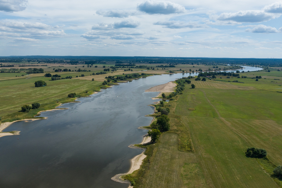 Auch die vielen Niederschläge in der vergangenen Woche haben der Elbe nicht über ihre Niedrigwasserstände hinaus geholfen. (Archivbild)