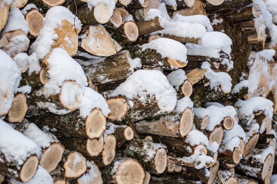 Bevor man Scheite im Kamin verbrennen darf, müssen sie trocknen. Nasses Holz darf nicht verbrannt werden.