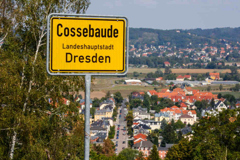 Cossebaude soll nach dem Ende der Ortschaftsverfassung zum Stadtbezirk Cotta gehören.