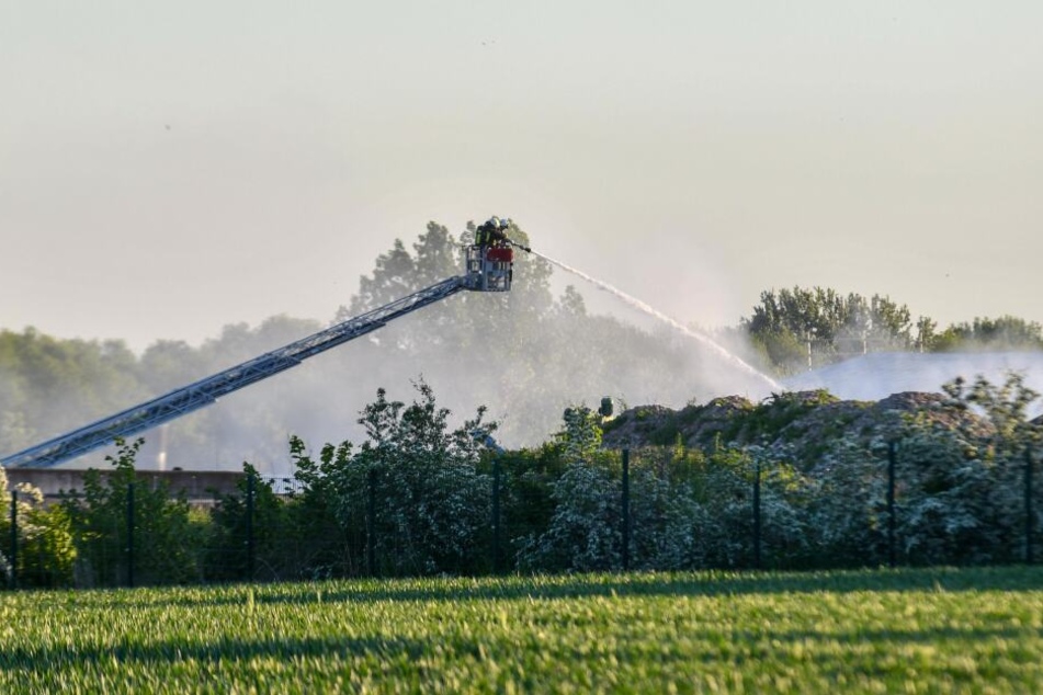 Am Montagabend ist es auf dem Gelände einer Putenfarm in Klein Oschersleben zu einem Brand gekommen.