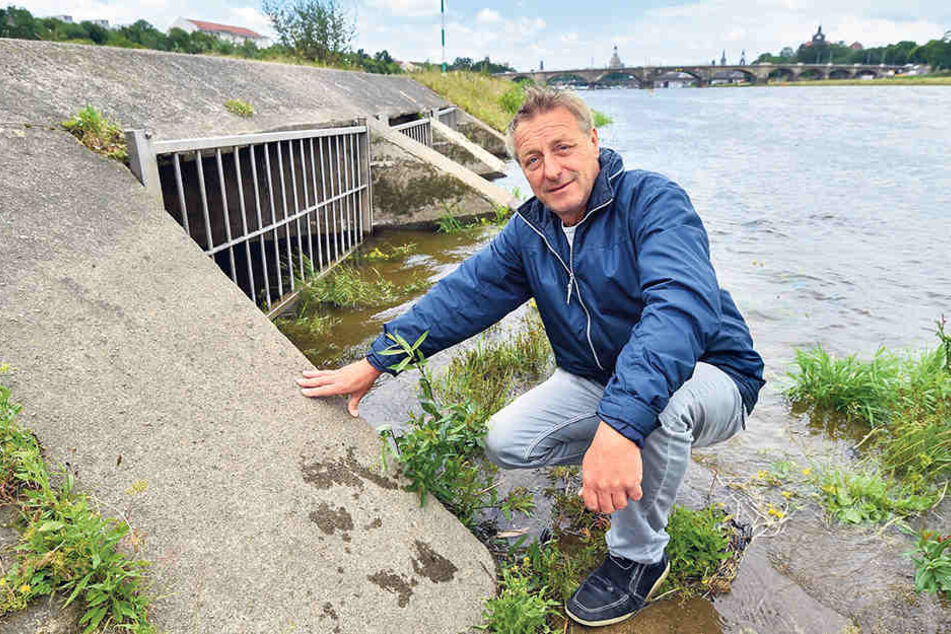 Hier läuft das Abwasser nach Starkregen in die Elbe: Kanalnetzmeister Frank Lieber (57) zeigt
einen der Schachtausgänge. Der Gitterrost schützt die Mündung vor Treibgut und
Bibern.