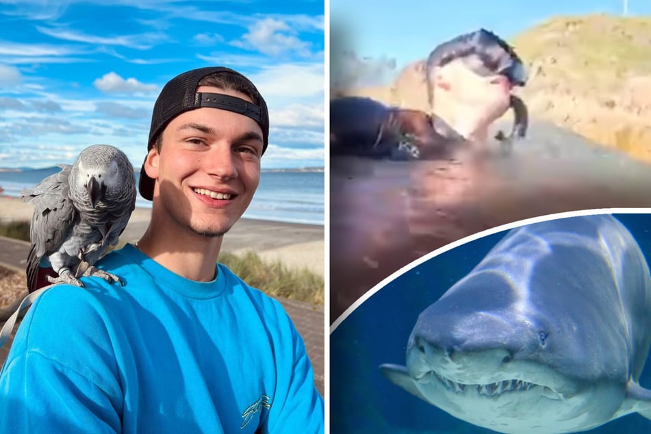 Der absolute Horror: Mann (20) filmt, wie er vom Hai zerfetzt wird