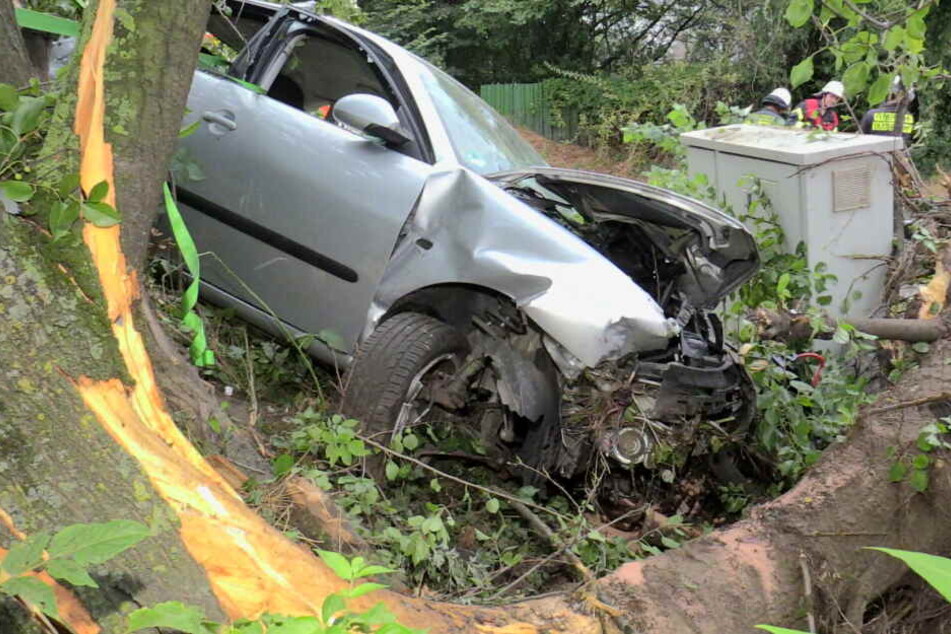 Der Autofahrer raste offenbar mit voller Wucht gegen einen Baum.