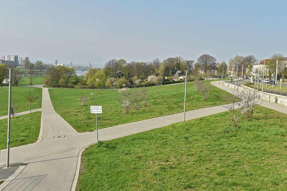 Der Oberkiesweg Richtung Elberadweg. Hier wurde 'Gina' von einem rasenden Radfahrer überfahren.