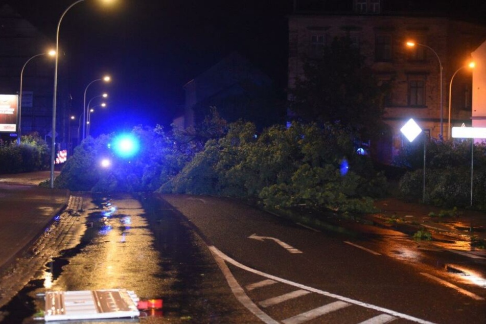 In Zittau versperrten umgestürzte Bäume die Straßen.