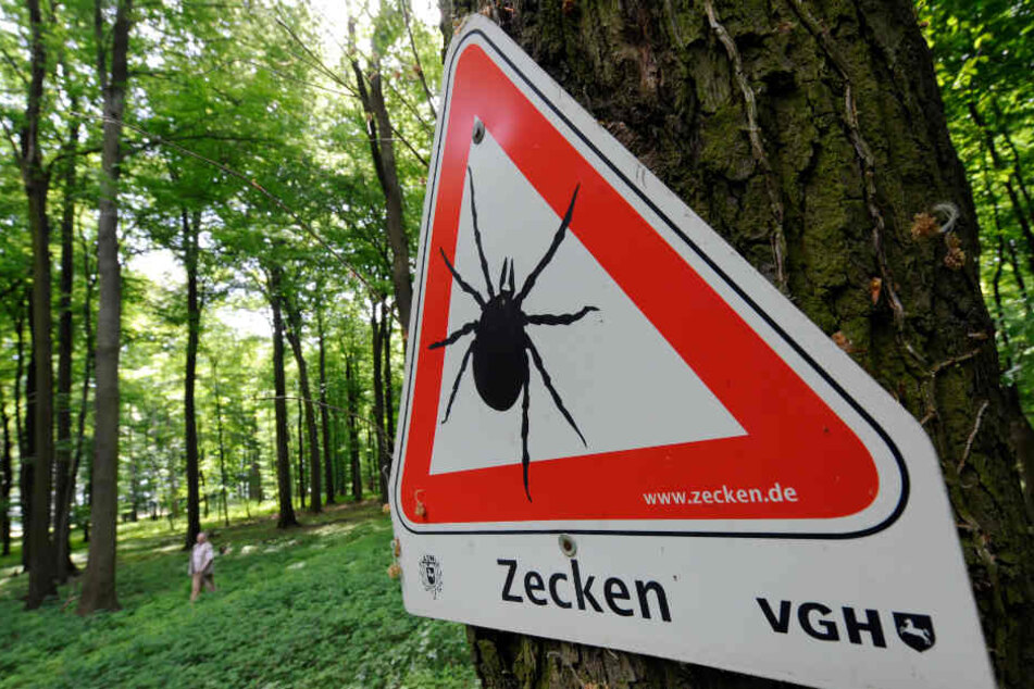 Schilder weisen auf die Gefahr im Unterholz hin.