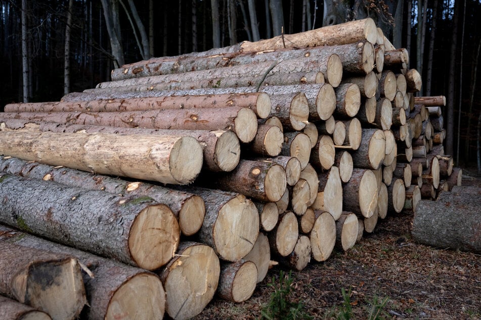 Der Lastwagen war mit Holzstämmen beladen. (Symbolfoto)