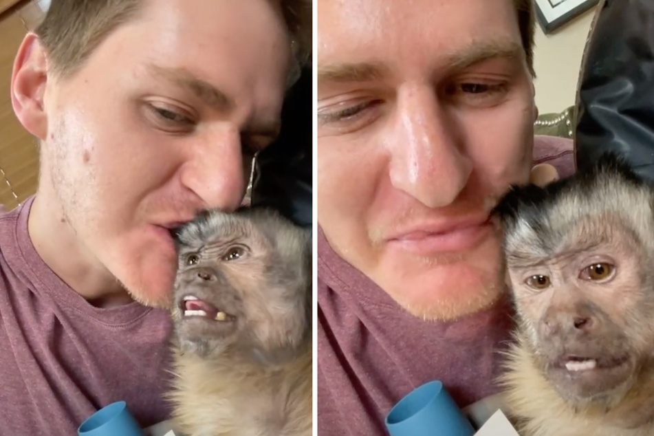 TikTok of a dog's hilarious reaction to his owner's simple prank goes