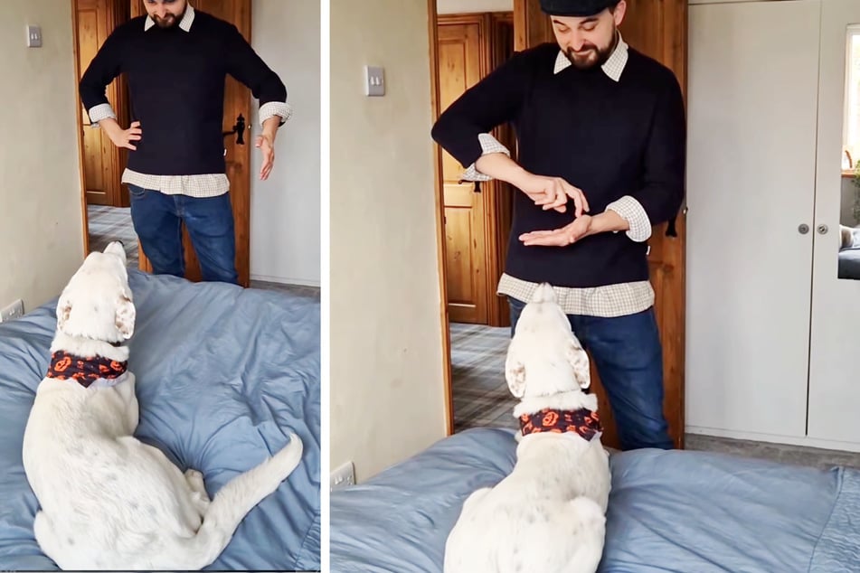 Brunos Besitzer zeigen ihrem tauben Hund über eine Gebärde, dass es Zeit für einen Spaziergang ist.