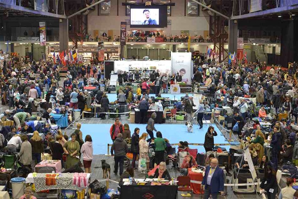 Zahlreiche Besucher auf der Messe.