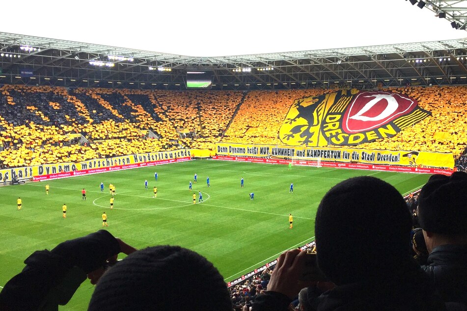 Am Sonntag (15.1.) geht's für Dynamo Dresden in der 3. Liga wieder los.
