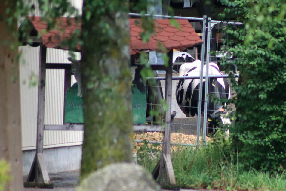 Der Betrieb in Bad Grönenbach wurde durchsucht. (Archiv)
