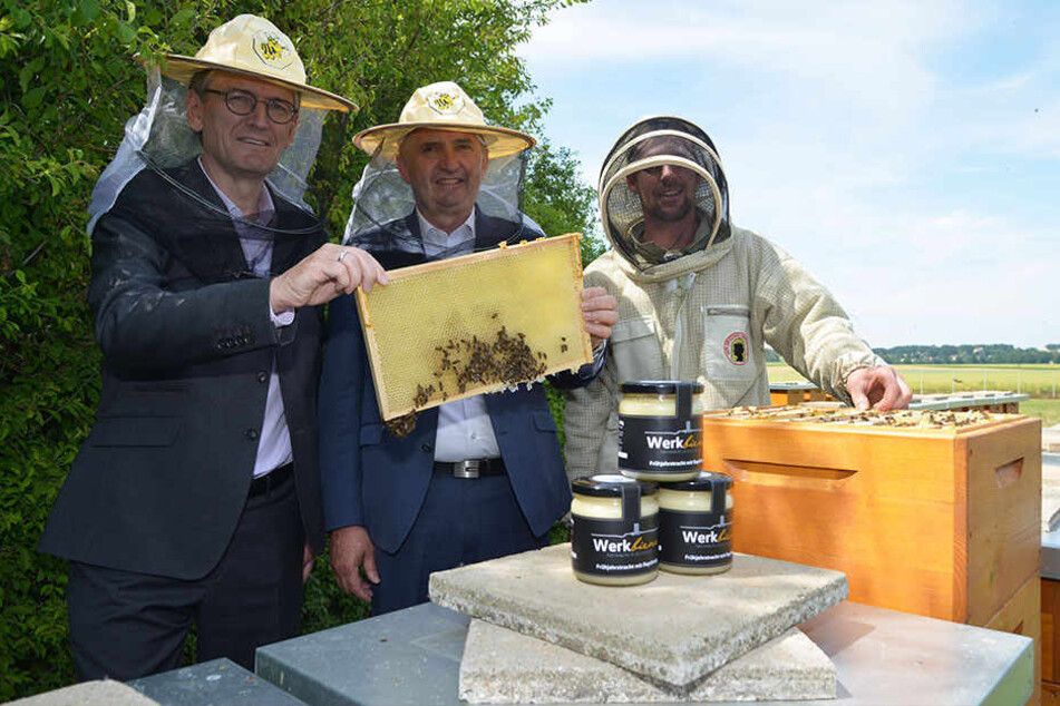 Dirk Coers von VW Sachsen und Umweltminister Thomas Schmidt (58, CDU) freuen sich mit Imker Sven Rudolph (34) über frischen Honig aus Zwickau.