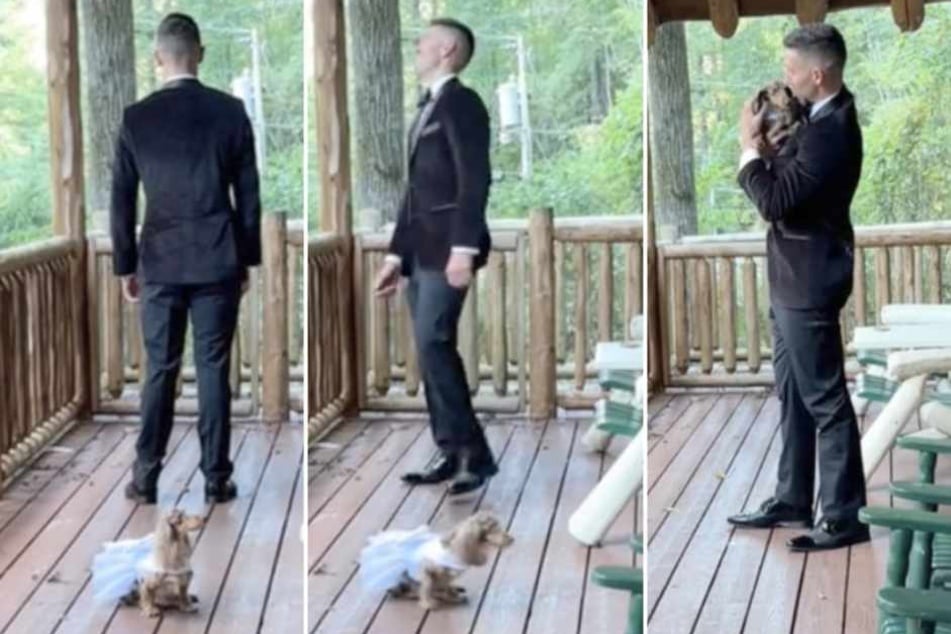 This groom had an unforgettable wedding first look when the couple's beloved dog stole the show in an adorable prank!