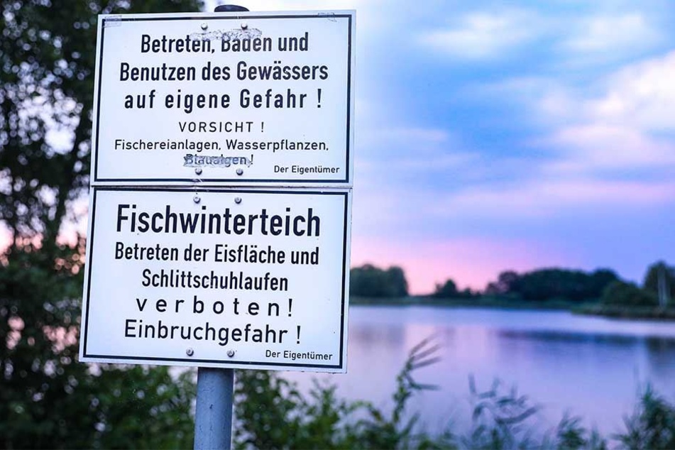 Mehrere Warnschilder am Ufer weisen auf die Gefahren des Badens im Dippelsdorfer Teich hin.