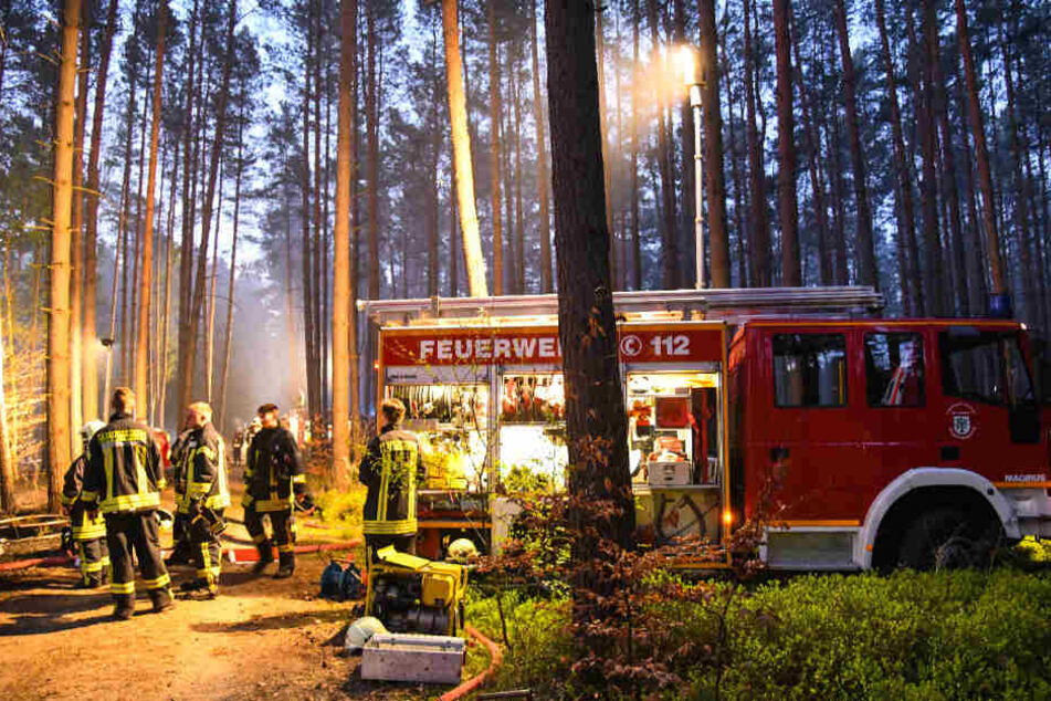 Mehrere örtliche Feuerwehrkräfte wurden hinzugerufen.